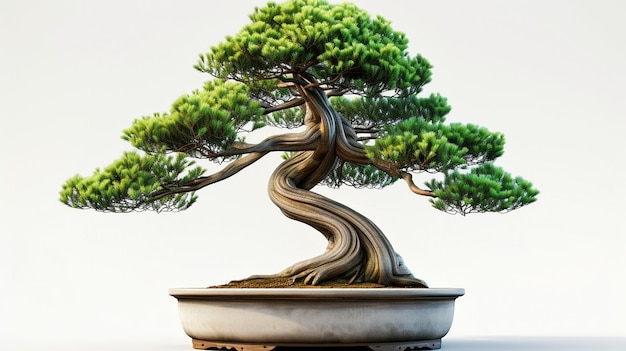 photo of Bonsai tree in a pot in isolated background A Perfect Bonsai Plant AI Generated