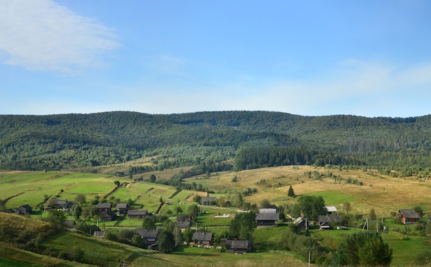 Photo of the Carpathian Mountains, which have a lot of coniferous trees