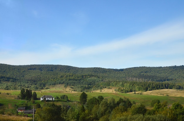 Photo of the Carpathian Mountains, which have a lot of coniferous trees