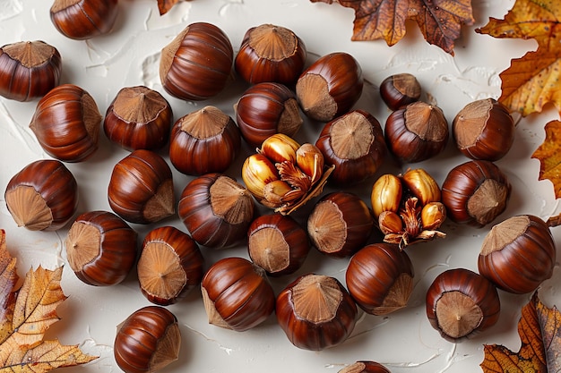 Photo of chestnuts on a white background with shadows and soft light on the top right side in the