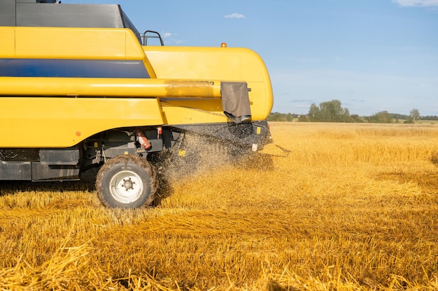 Photo of combine harvesting wheat blue sky