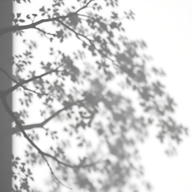 Photo of Dappled Tree Branch Shadows Casting Fragmented Light Gentle Swirls Merge With Solid Shape