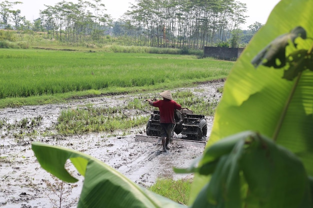 Photo of a farmer plowing the field in the morning