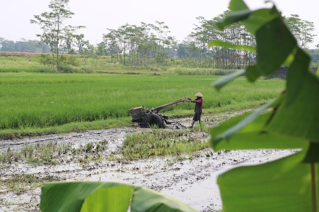 Photo of a farmer plowing the field in the morning