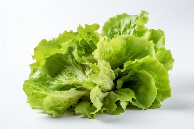 Photo fresh lettuce vegetable generative ai