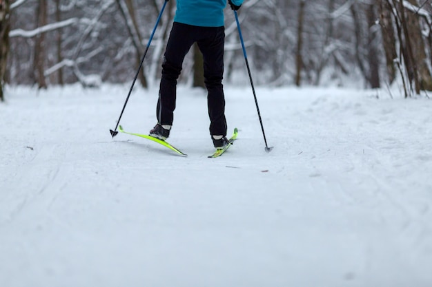 Photo from back of skier on background of trees