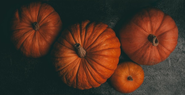 Photo from above of four orange pumpkins on black background halloween celebration