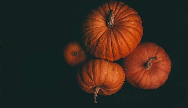 Photo from above of four orange pumpkins on black background halloween celebration