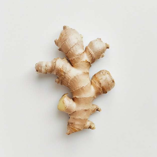 Photo of ginger on a white backdrop