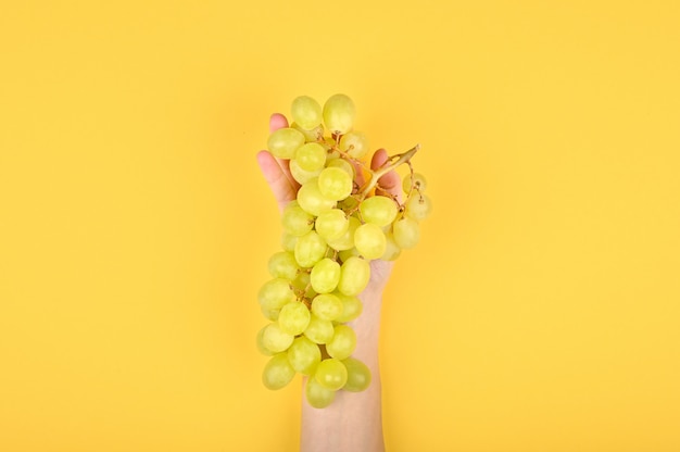 Photo of green grape on a yellow background. Volumetric grapes. A bunch of green grape bush.