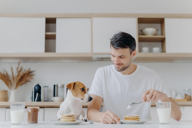 Photo of happy man eats tasty pancakes with fork, drinks milk from glass, wears white t shirt, his jack russell terrier dog poses near, has delicious breakfast together with host, kitchen background