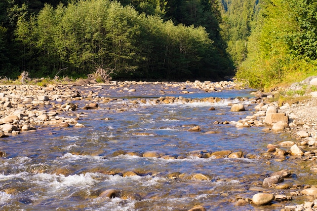 Photo landscape small mountain river