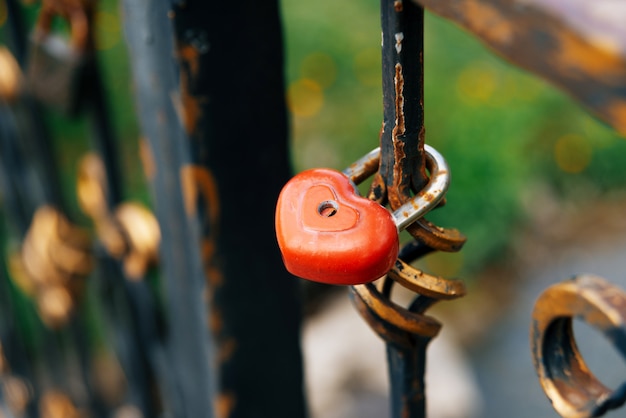 Photo of a little heart lock on a handsome bridge