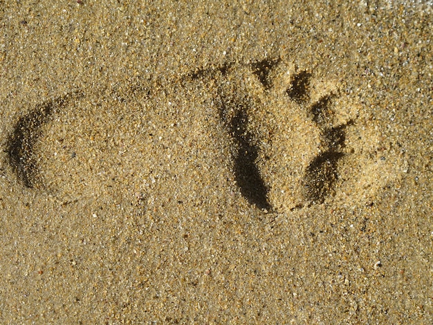 Photo of a lonely footprint in wet sand 