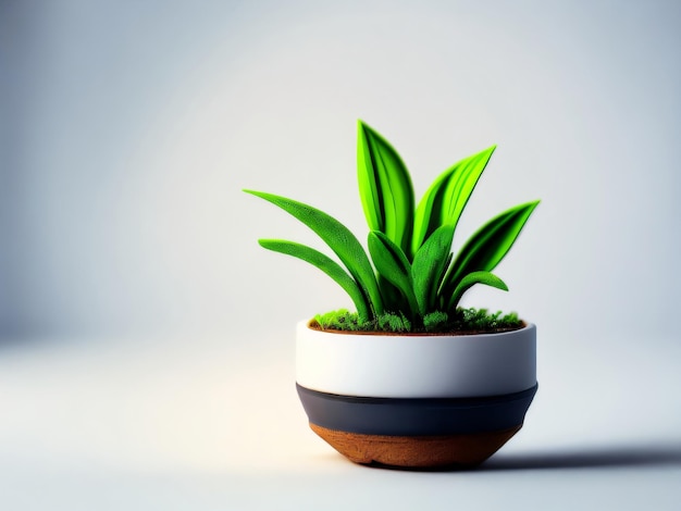 Photo a miniature beautiful plant in a pot on a white table with white background