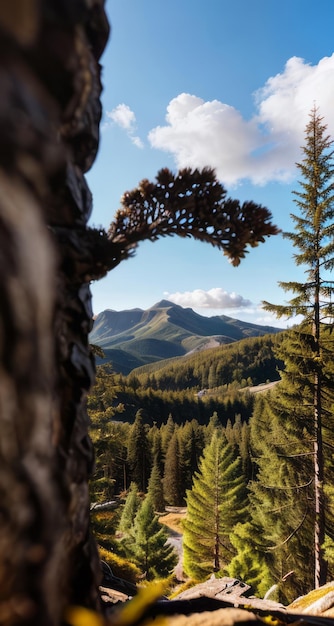 photo of a mountain and blue sky with clouds forest photography