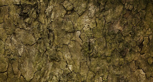 photo of natual textured wooden surface