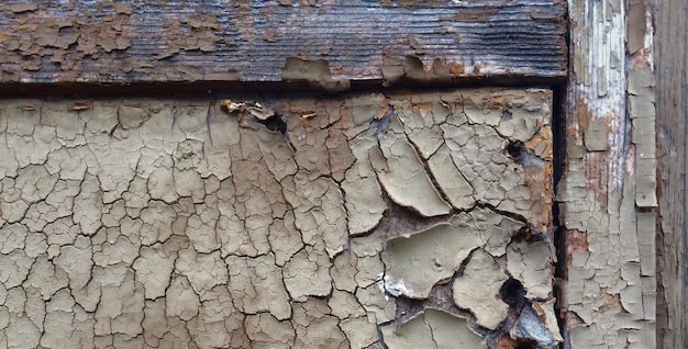 photo of natual textured wooden surface