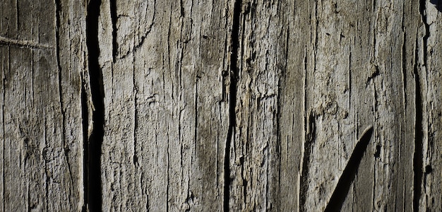 photo of old wooden surface