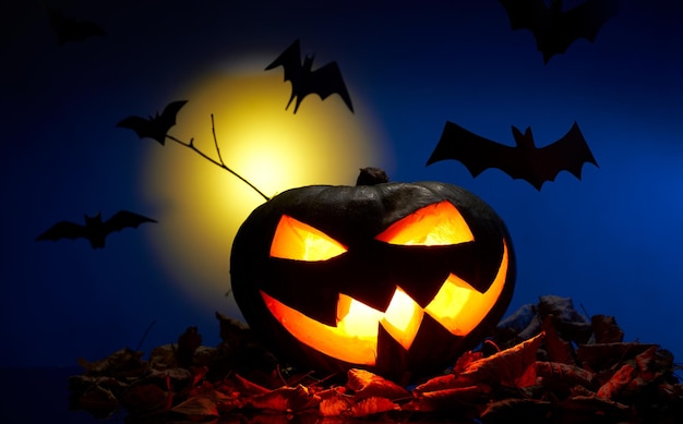 Photo of one pumpkins with burning mouths bats at night