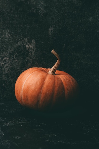 Photo of orange pumpkin on black background halloween celebration space for inscription