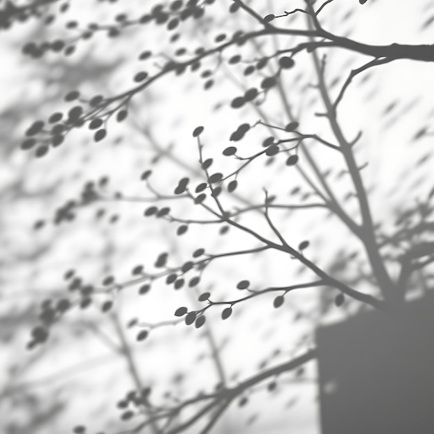 Photo of Orange Tree Branch Shadows Creating Dense Rounded Patterns Sharp Outlines Add Clarity Ci