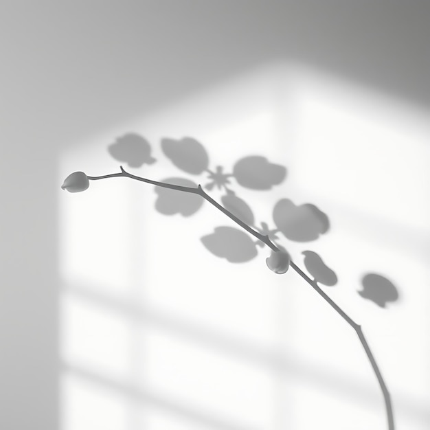 Photo of Orchid Petal Shadow Creating Delicate Floral Outlines Soft Curving Edges Convey Fragility