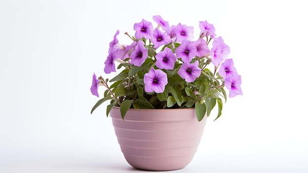 Photo of Petunia in minimalist pot as houseplant for home decoration