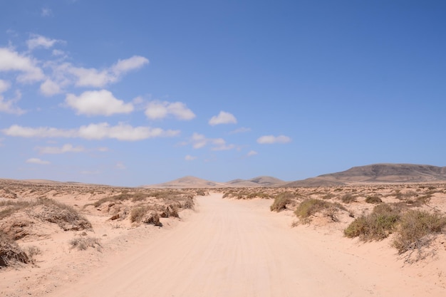 Photo Picture of a Beautiful Dry Desert Landscape