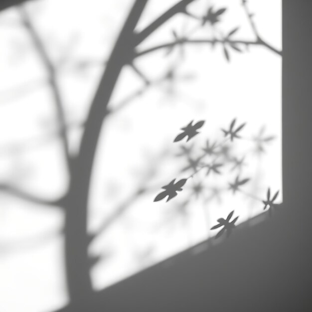 Photo of Pine Cone Shadows Spiky Detailed Shadows With Crisp Edges Repetitive Patterns Create a Se