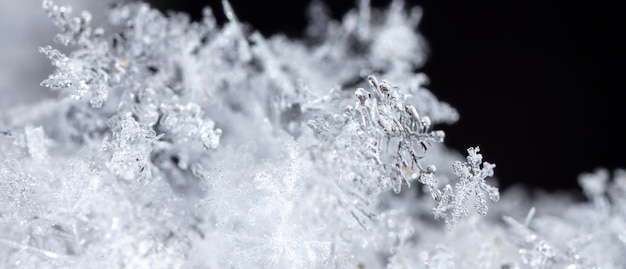 Photo photo real snowflakes during a snowfall, under natural conditions at low temperature