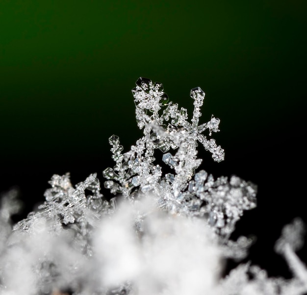 photo real snowflakes during a snowfall, under natural conditions at low temperature