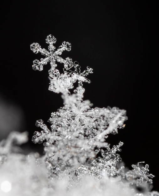 photo real snowflakes during a snowfall, under natural conditions at low temperature