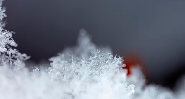 photo real snowflakes during a snowfall, under natural conditions at low temperature