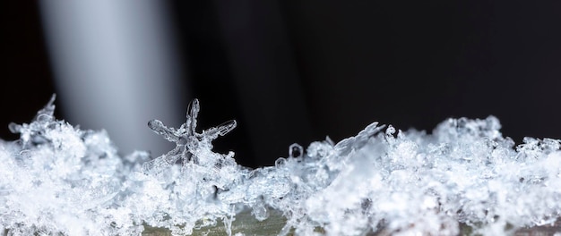 photo real snowflakes during a snowfall, under natural conditions at low temperature