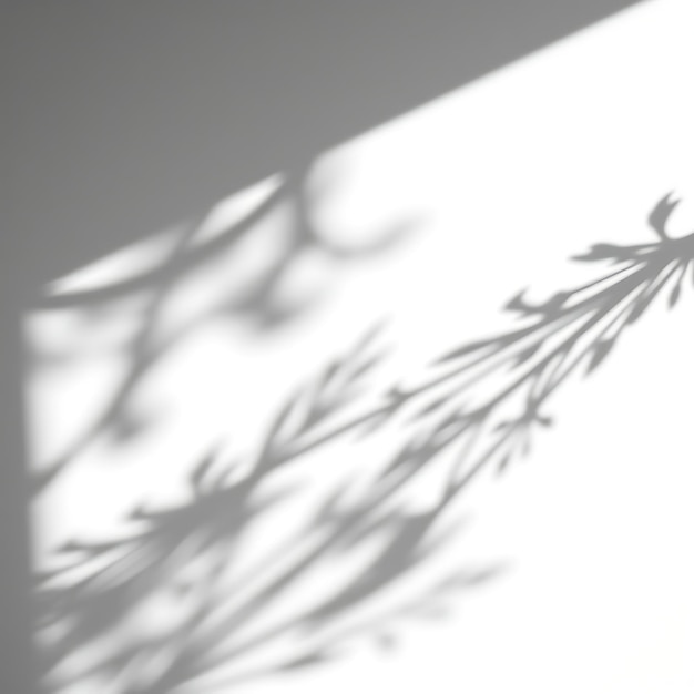 Photo of Reed Shadows Long Slender Shadows Ripple Like Water Fluid Flowing Lines With a Sense of M