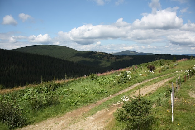 Photo of the road in the mountains in sunny weather