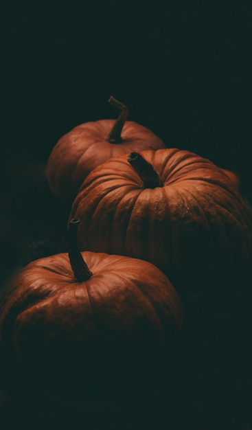 Photo of three orange pumpkins on black background halloween celebration