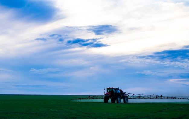 photo of a wheat field Spraying a tractor with agrochemical or agrochemical preparations over a youn