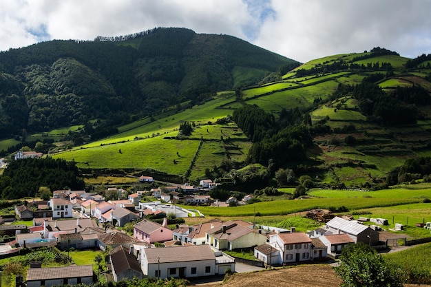 photo with beautiful tropical nature in summer on san miguel island azores portugal