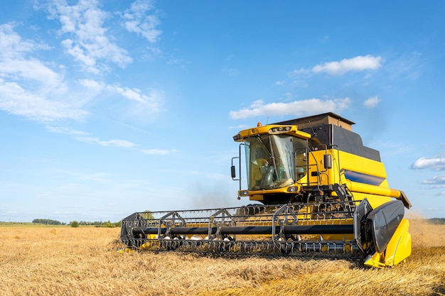 Photo of yellow combine harvesting wheat blue sky