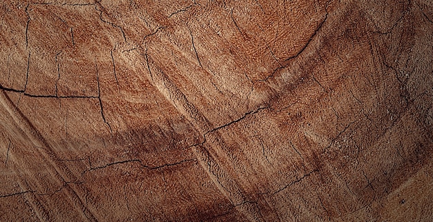 photograph of a beautiful wooden surface