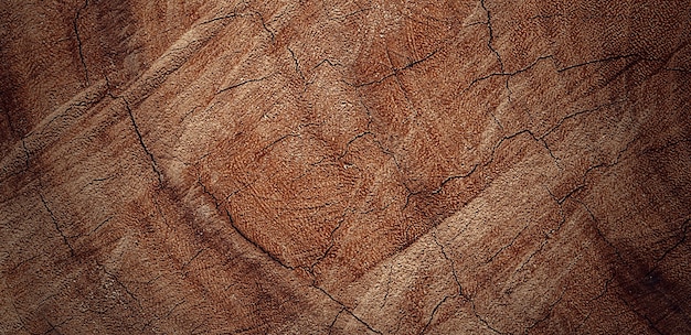 photograph of a beautiful wooden surface