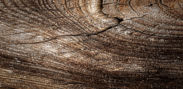 photograph of a beautiful wooden surface