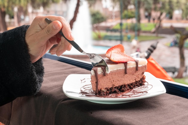 Photograph of chocolate dessert with fruit and ice cream