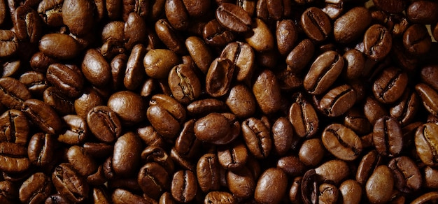 photograph of roasted coffee beans