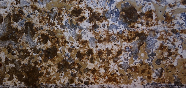 photograph of a stone surface