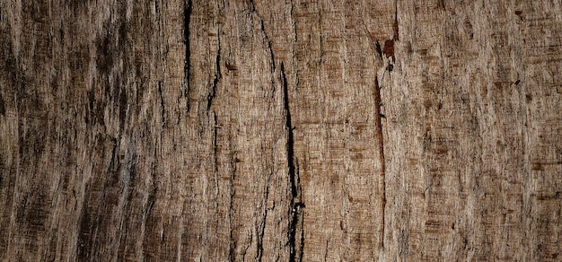 photograph of a wooden surface