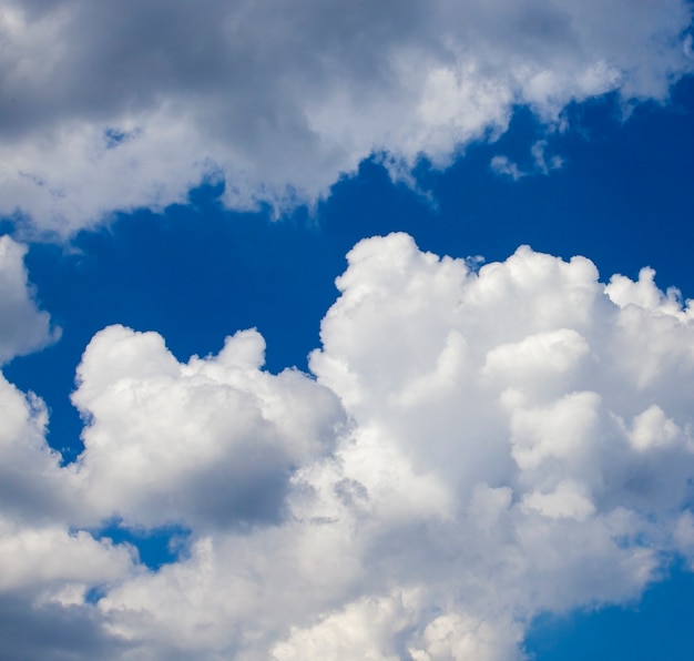 Photographed close-up white clouds are in the blue sky, shallow depth of field