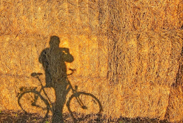 photographers shadow on a straw background